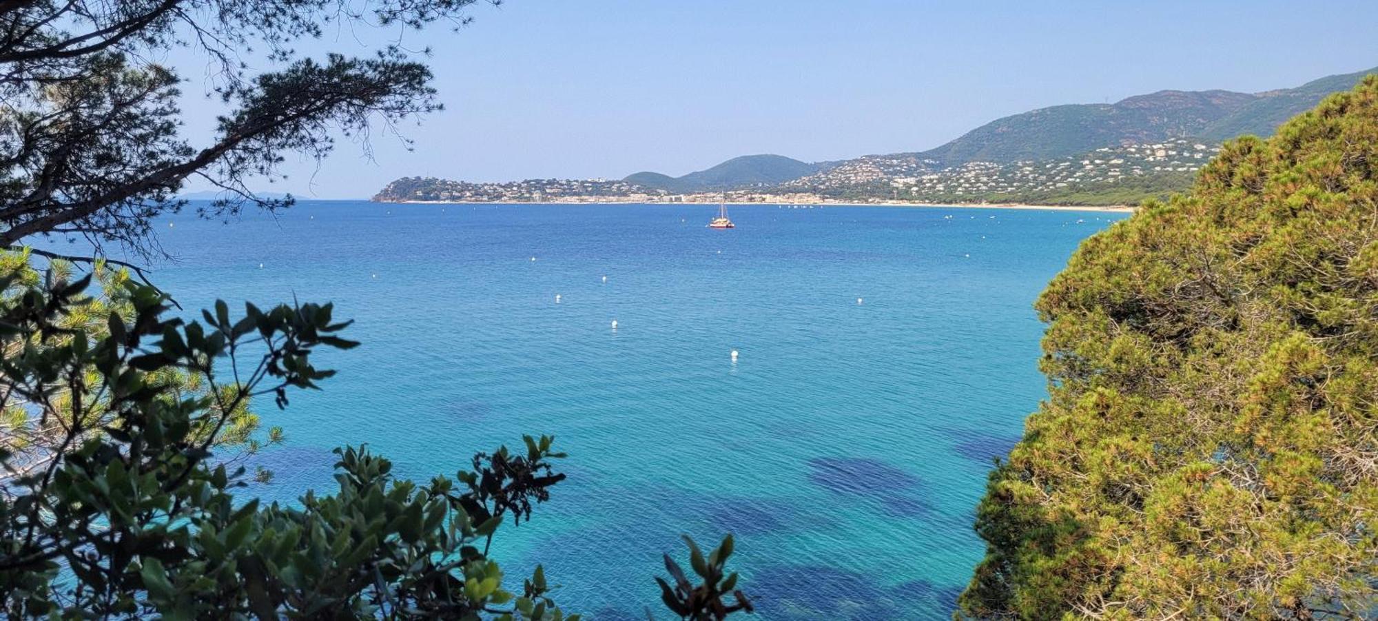 Appart T3 A 50 M De La Plage Cavalaire-sur-Mer Kültér fotó