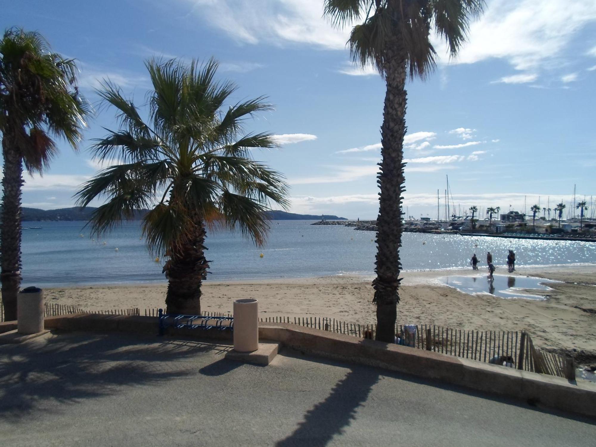 Appart T3 A 50 M De La Plage Cavalaire-sur-Mer Kültér fotó